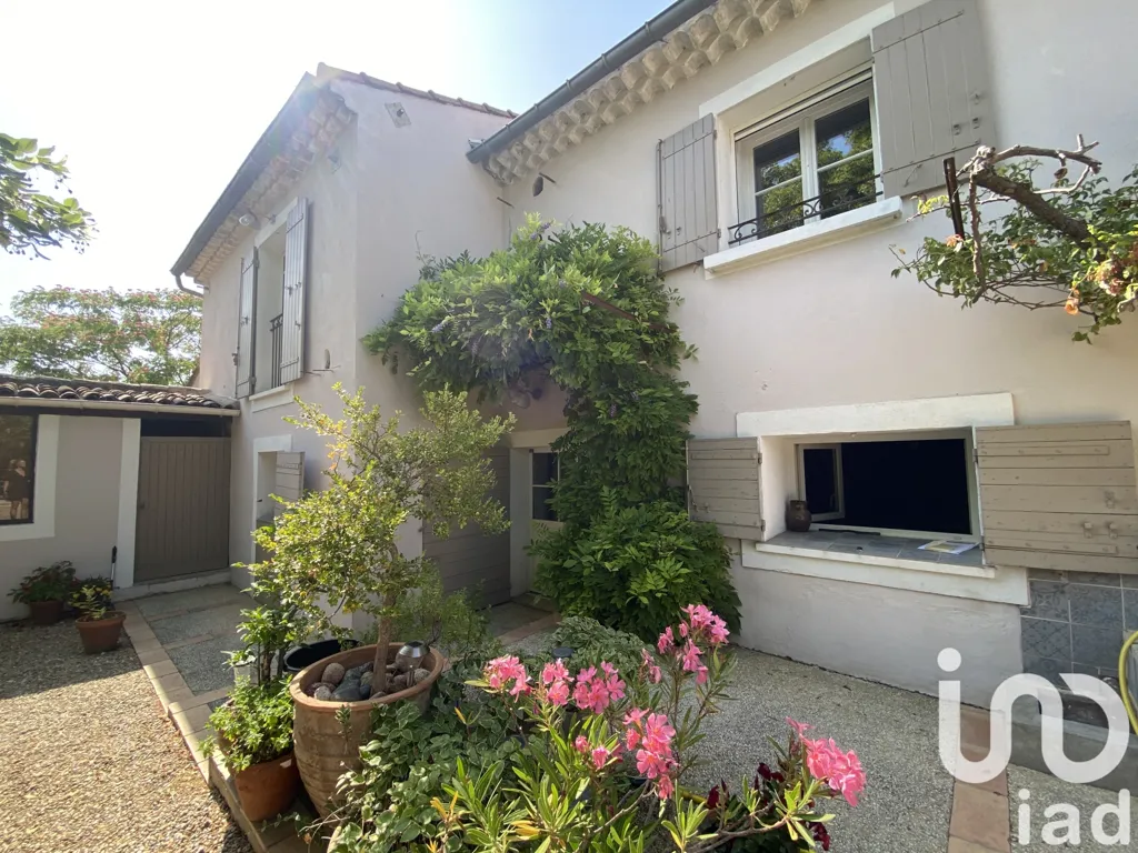 Jardin - Mas de 1890 avec Gîte et Piscine à Cavaillon