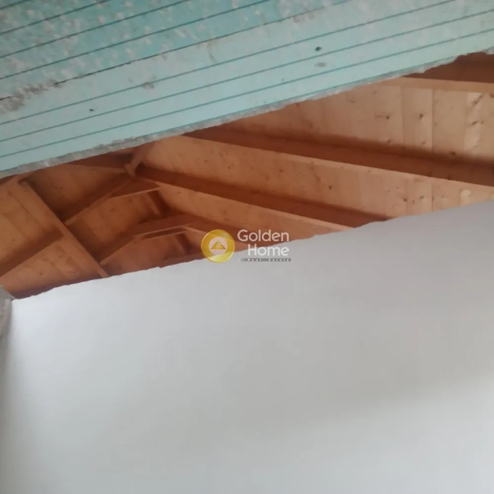 Toad - Under Construction Duplexes with Garden in Ippokratia