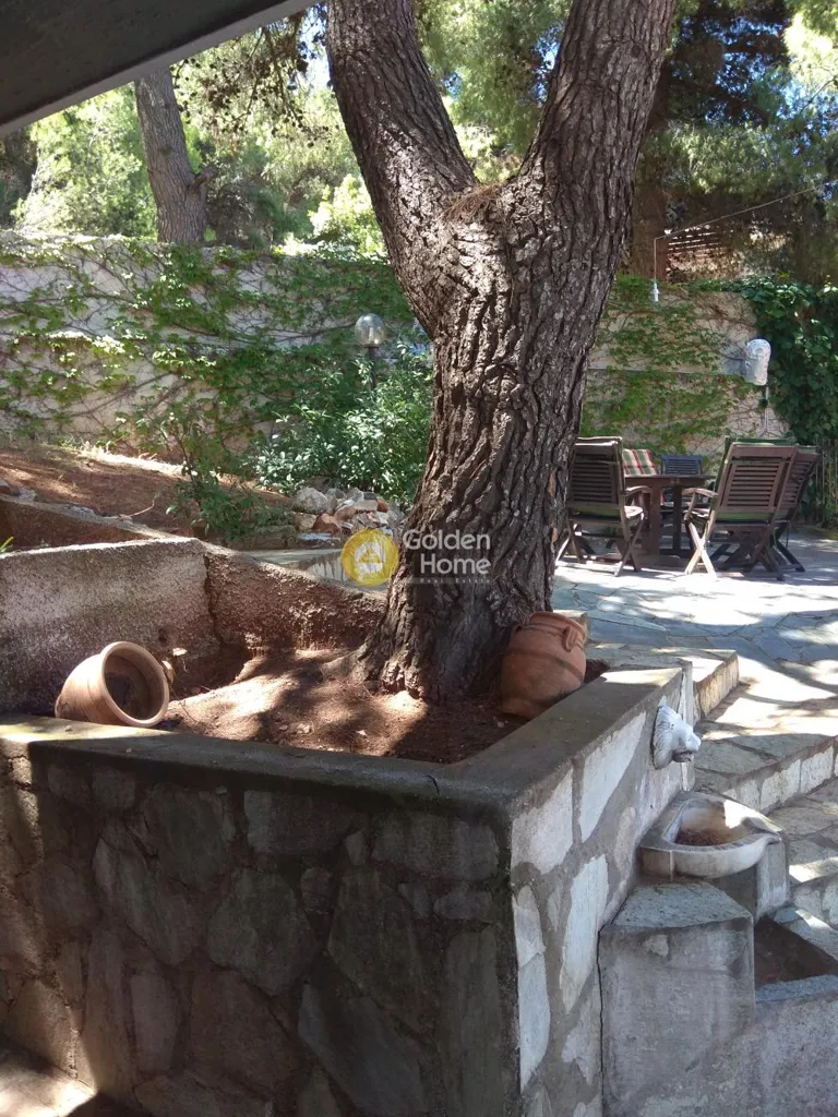 Terrasse - Detached Villa with Pool in Kifissia