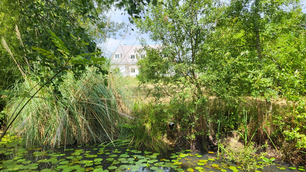 Giardino - House with Pool in Vertou