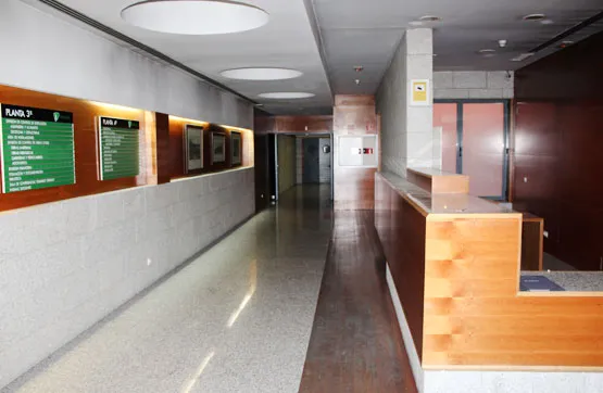 Spacious Office with Large Windows in Madrid