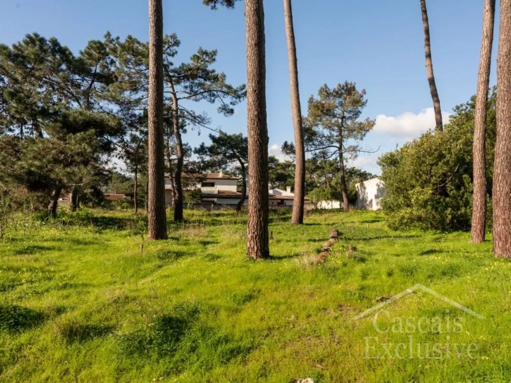 Aed - Approved Plot for T4 House in Colares, Sintra
