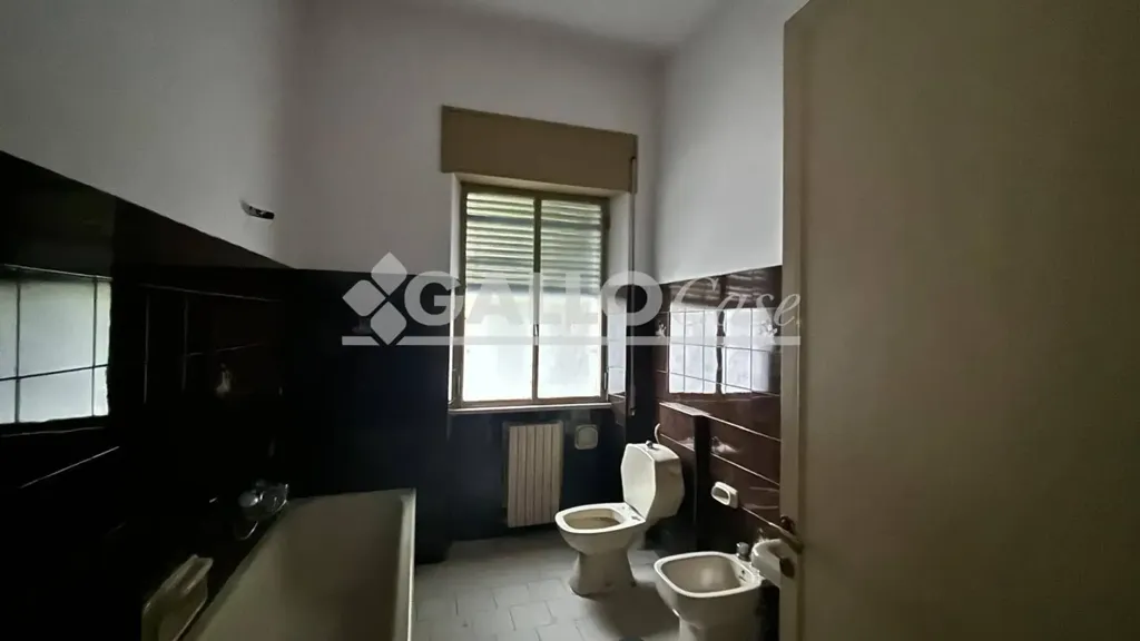 Vannitoad - Central Apartment with Terrace in Cosenza