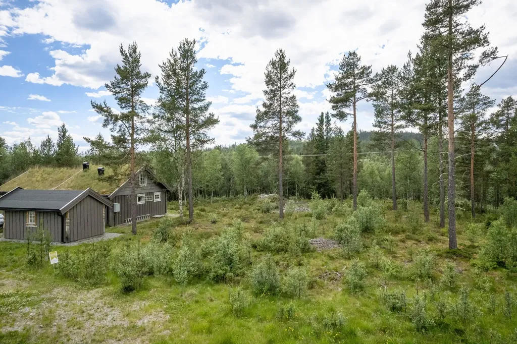 Õhuvaade - Corner Plot with Ski Access in Ljusnedal