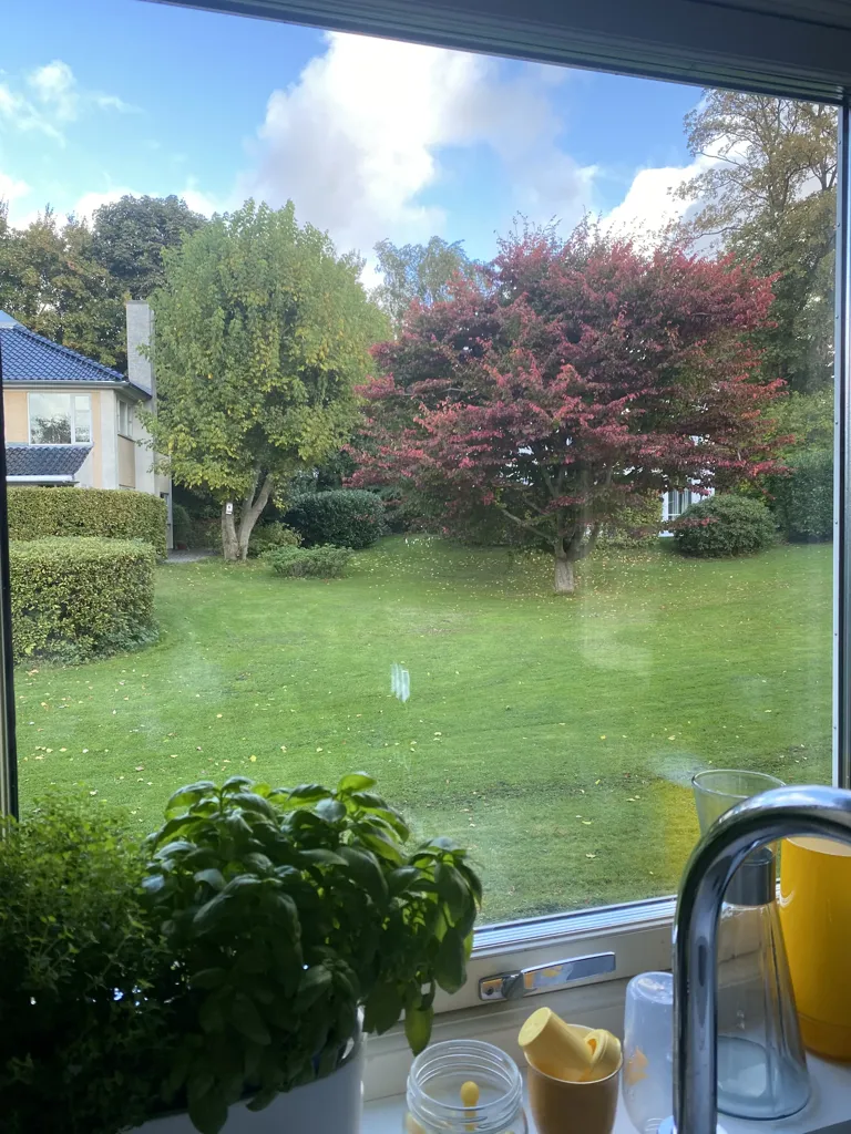 Jardin - Family House with Balcony in Holte