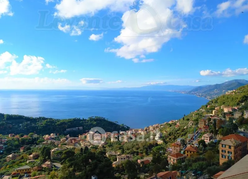 Panoramic Apartment with Sea View in Camogli