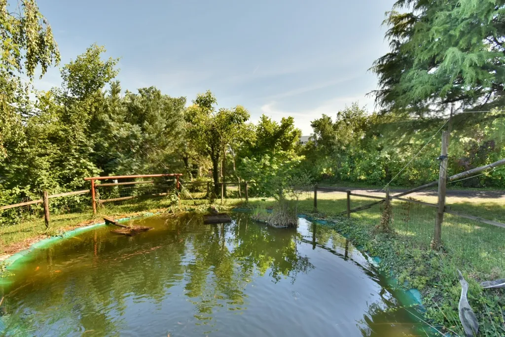 Giardino - Well-Maintained House with Garden in Fleac