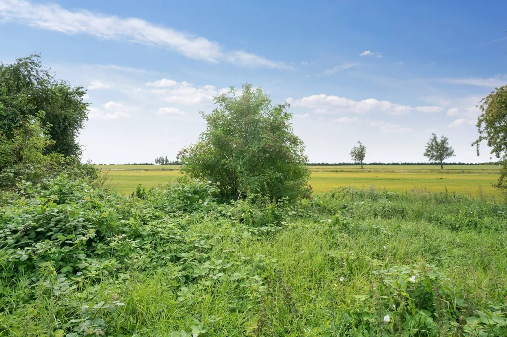 Aed - Year-Round Plot with 5G Coverage in Store Heddinge