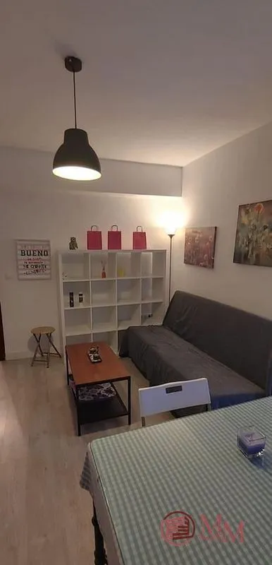 Living Room - Furnished Flat with Balcony in Ciudad Jardín