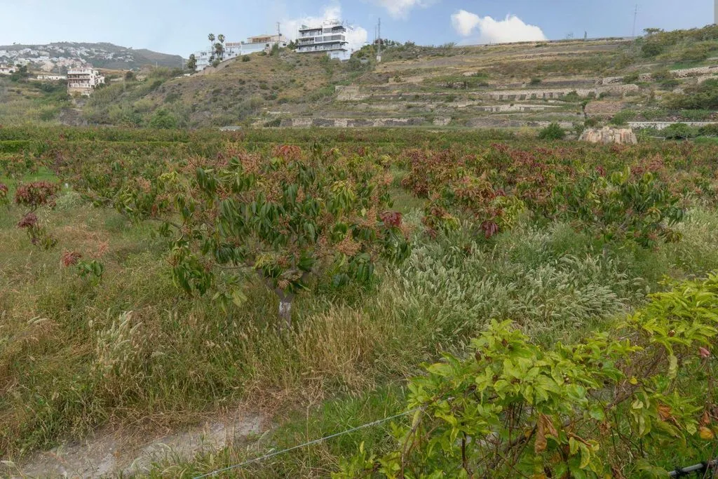 Aed - Development Land with Sea View in Salobreña
