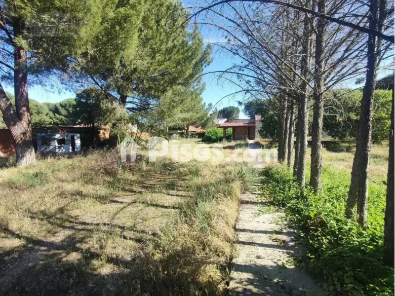 Giardino - Chalet with Pool in Traspinedo