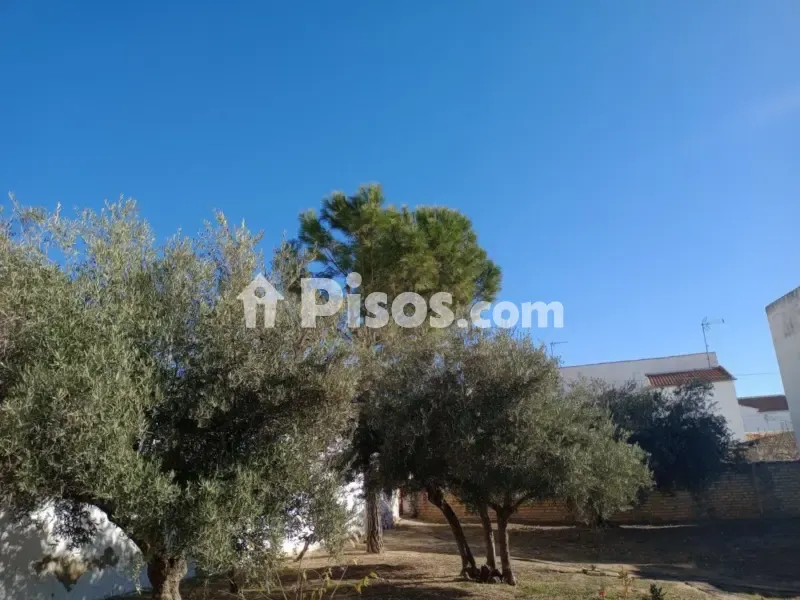 Garden - Rustic House with Garden in La Atalaya
