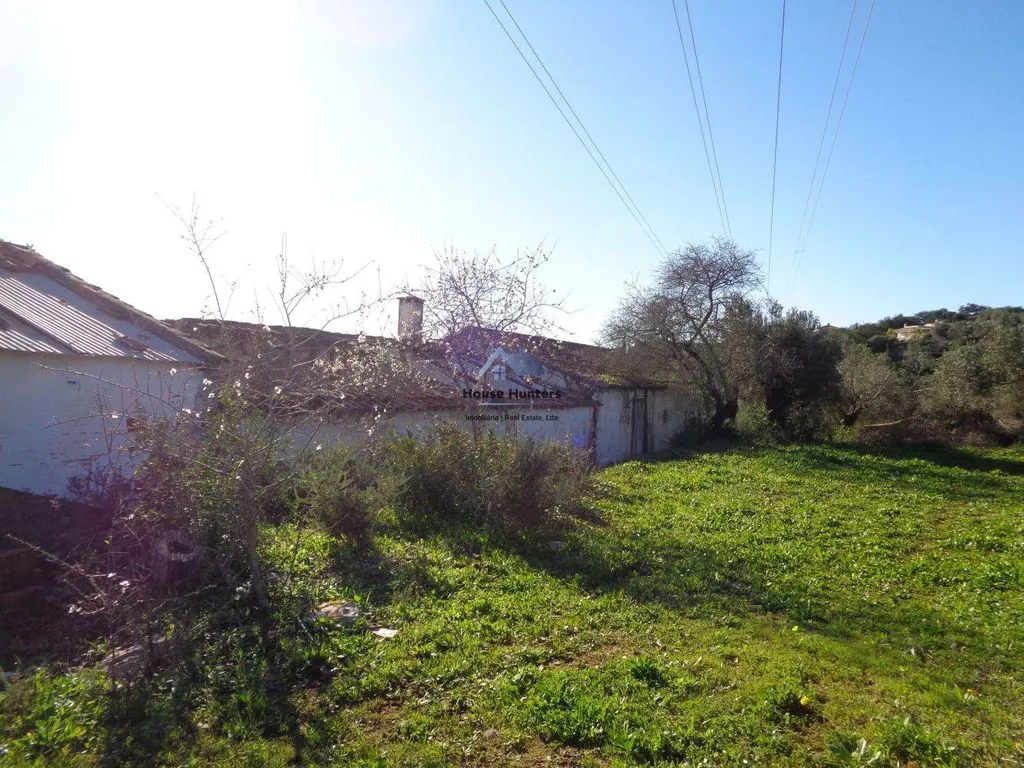 Jardin - Luxury House with Garden in Loulé