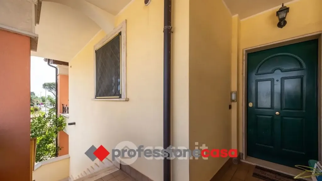 Ingresso - Casa indipendente con giardino a Pomezia