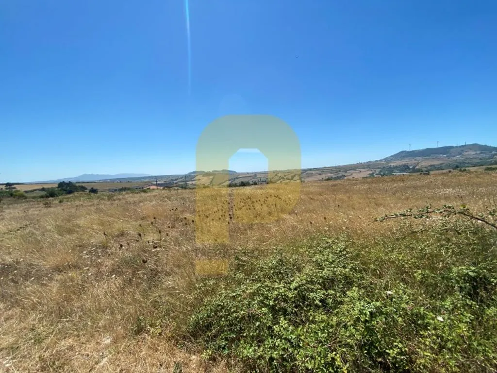 Giardino - Urbanizable Land for Development in Mafra