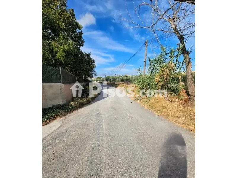 Aed - Rustic Plot with Water and Light in Camino La Torca