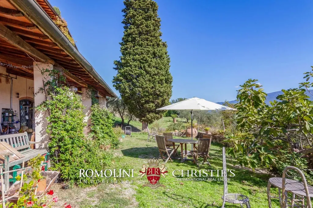 Terrace - Villa with Vineyard and Pool near Florence