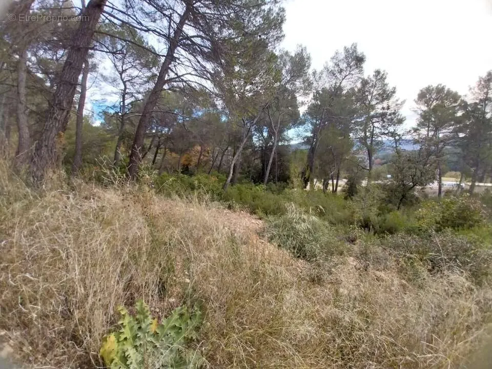 Jardin - Terrain à Salernes