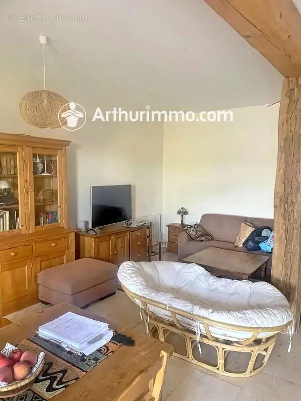 Séjour - Appartement Duplex Vue Saône à Trévoux