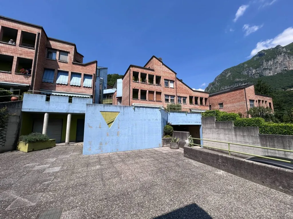 Extérieur - Spacious Apartment with Garden in Lecco