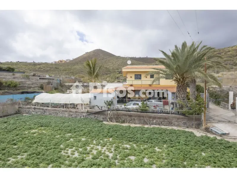 Extérieur - House with Vineyard in Granadilla de Abona