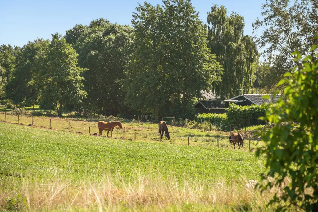 Garden - Holiday Plot with 5G Coverage in Haderslev