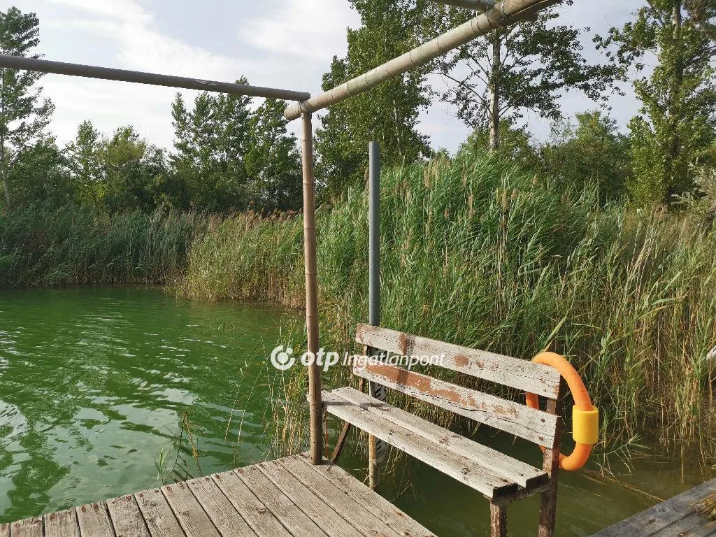 Jardin - Unique House with Private Lakefront in Délegyháza