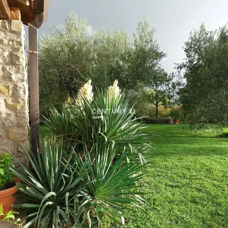 Giardino - Stone Villa with Pool in Pomjan, Koper
