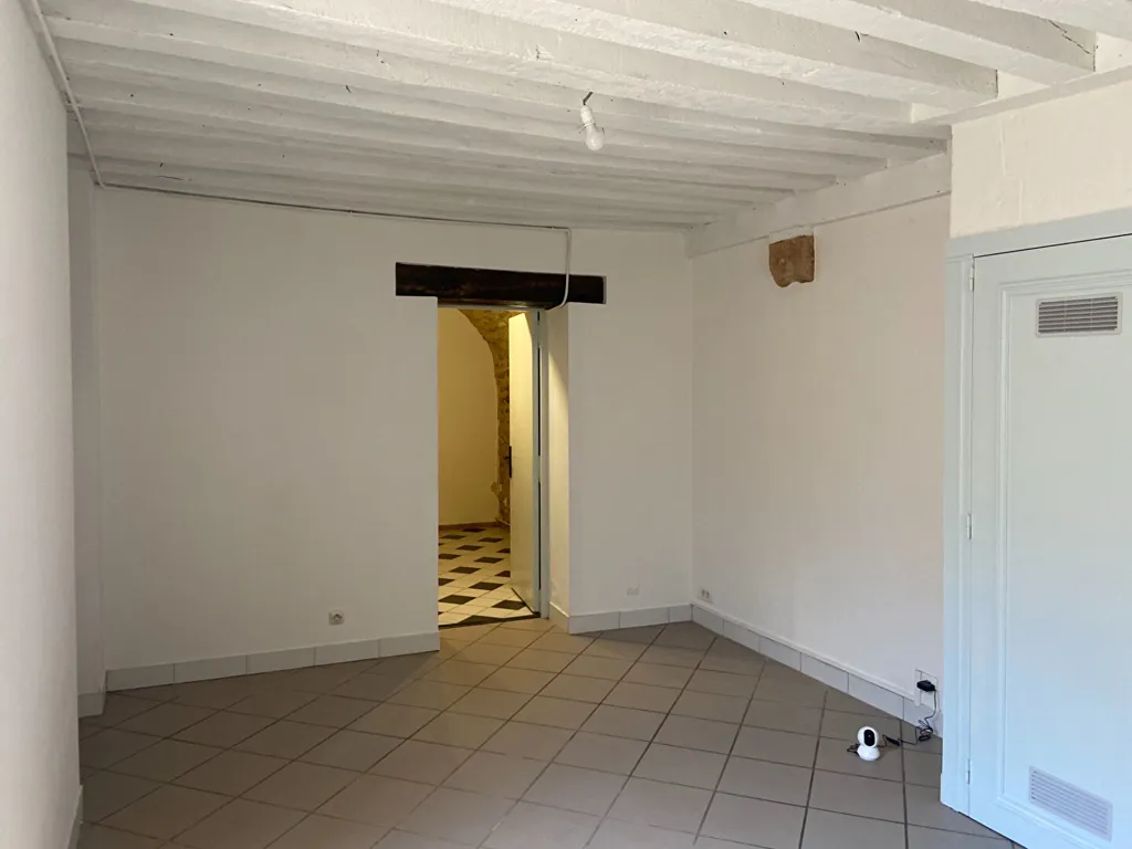 Toad - Renovated Flat in Cathedral Quarter, Nevers