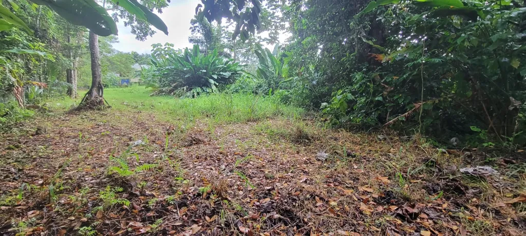 Aed - Buildable Land with Residential Potential in Petit-Bourg