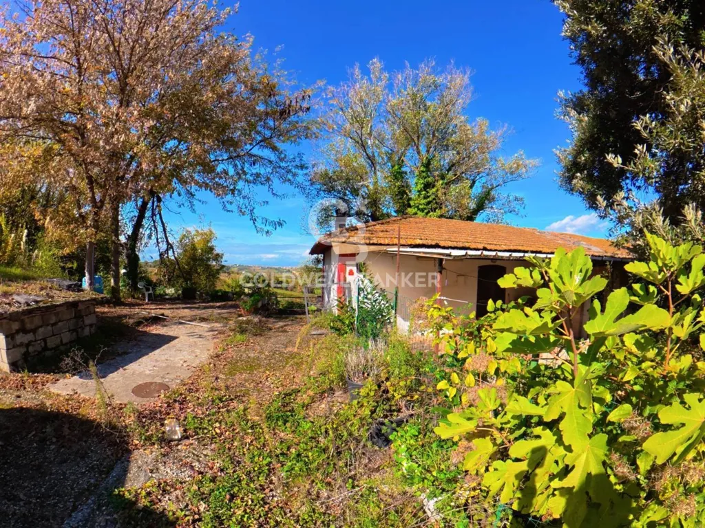 Jardin - Rustic Estate with Lake in Vinci, Tuscany