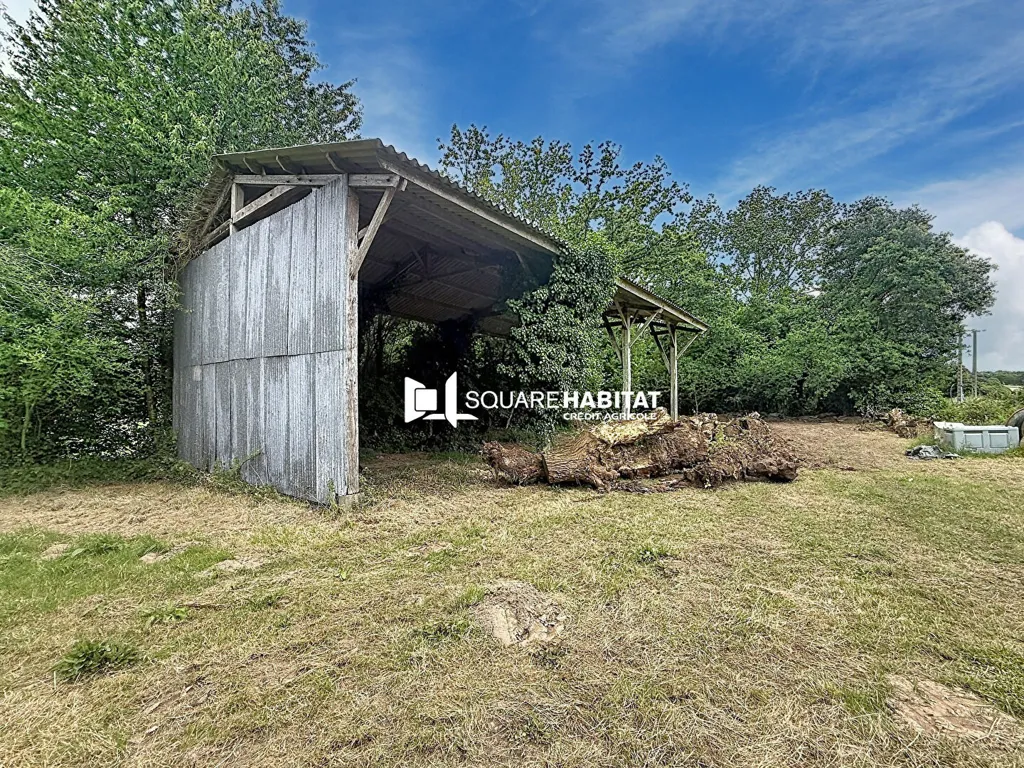 Jardin - Maison à Rénover avec Dépendances à Rouillac