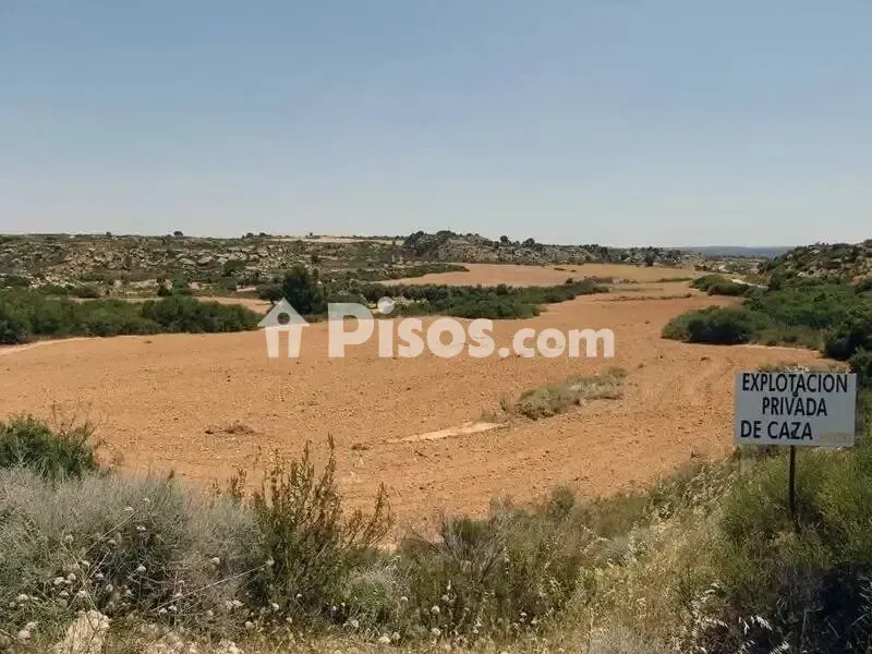 Aed - Rustic Hunting Estate in Alcañiz