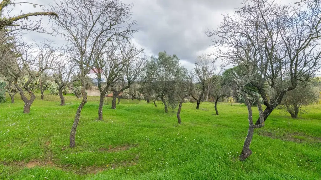 Aed - Bifamiliar Villa with Garden in Piazza Armerina