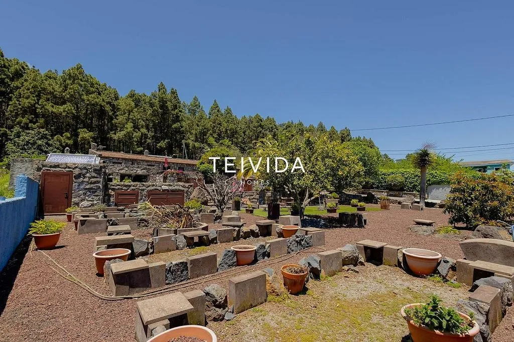 Garden - Villa with Pool and Bodega in El Rosario
