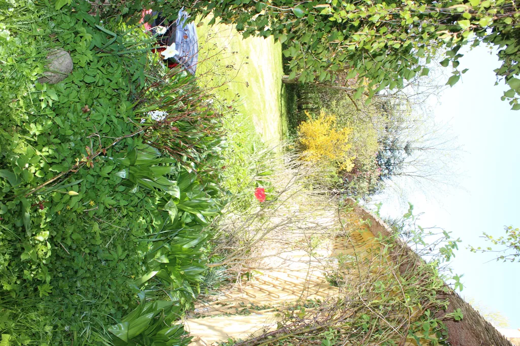 Jardin - Handcrafted Cottage with Unique Garden in Kielstrup
