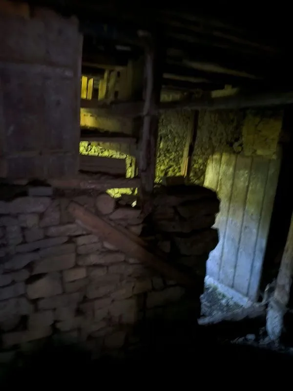 cellar