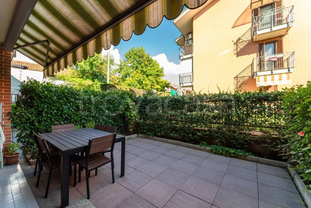 terrace_patio