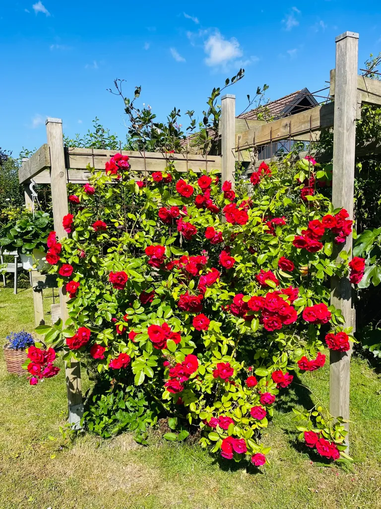 Aed - Spacious Villa with South View in Simrishamn