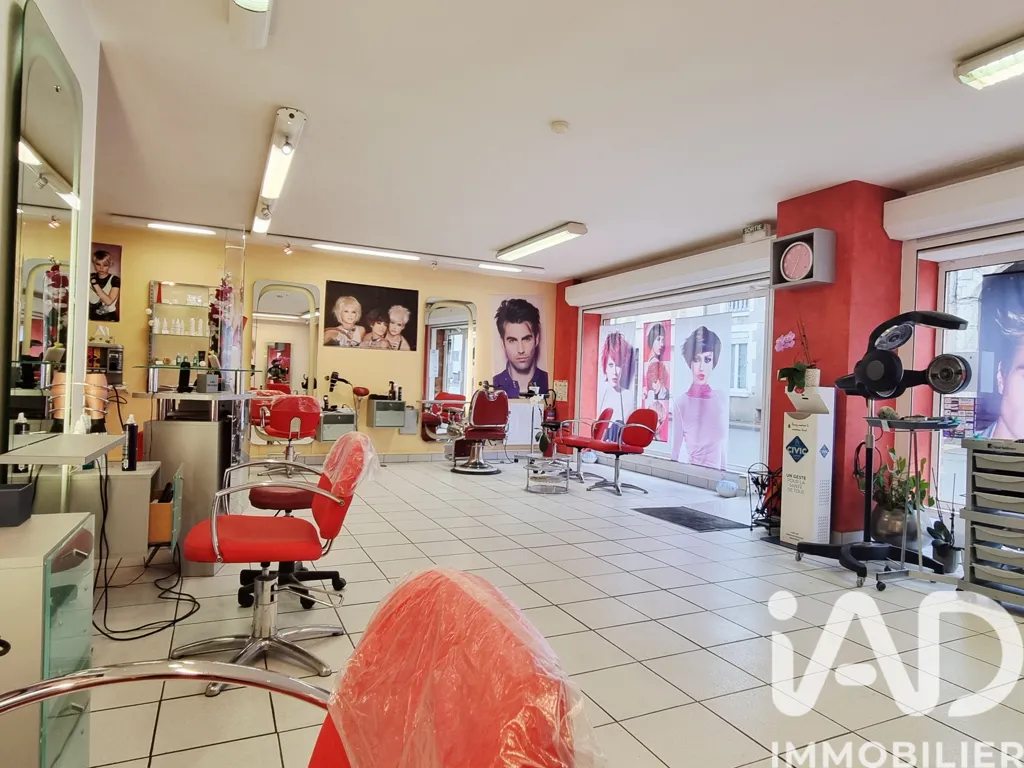 Toad - Established Salon with Parking in Toury