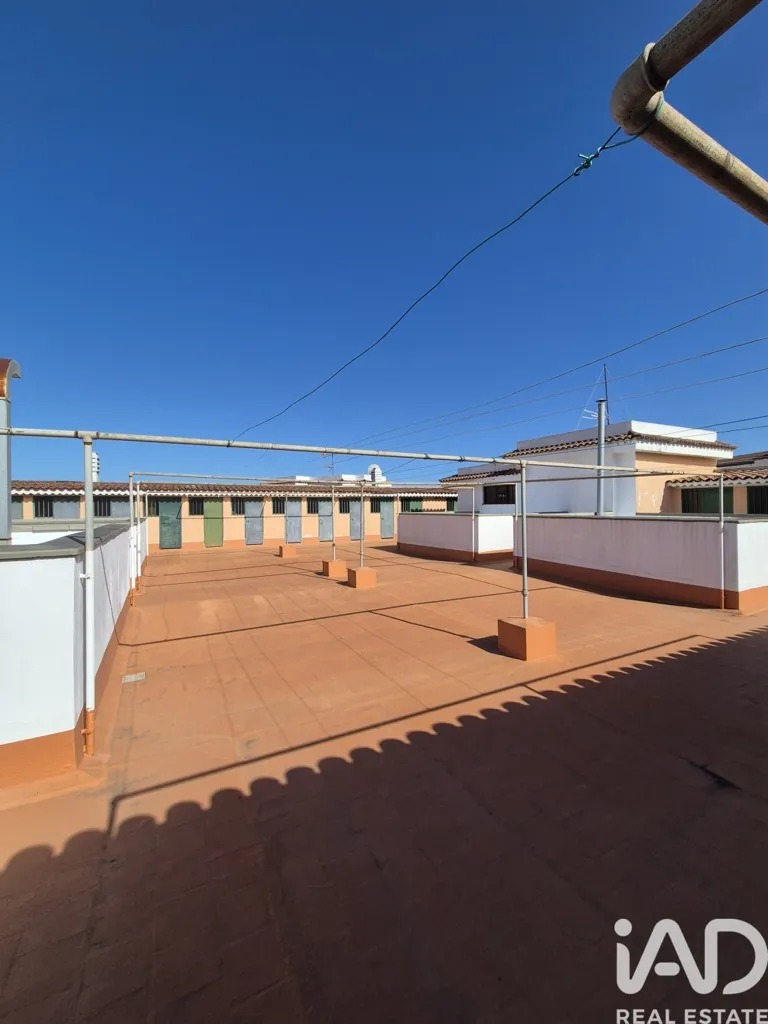 Jardin - Apartment with Balcony in La Laguna