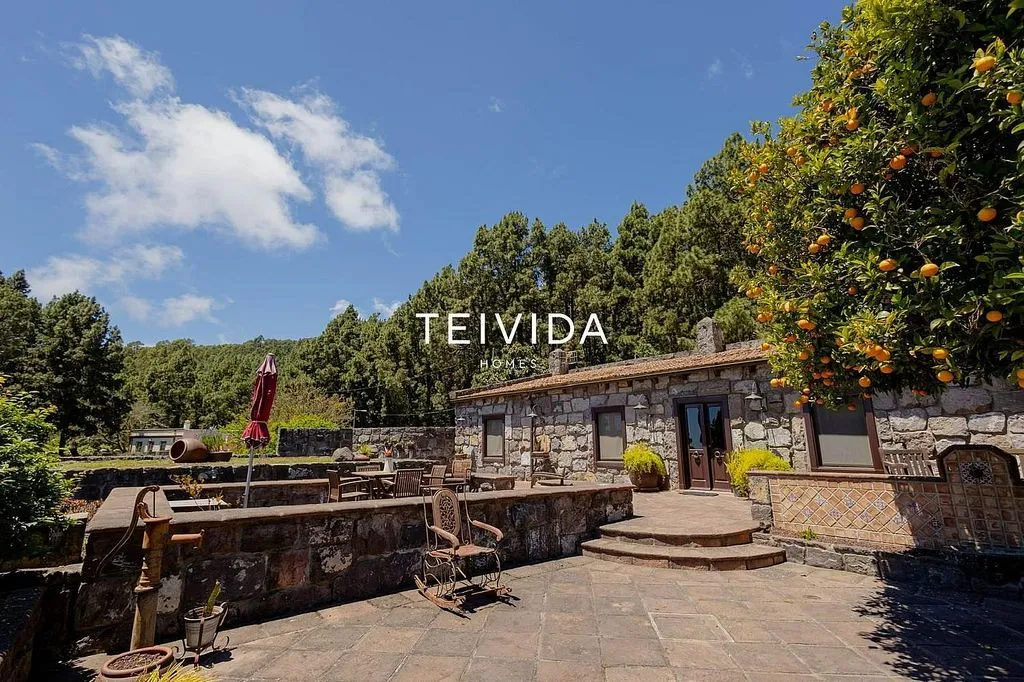 Terrace - Villa with Pool and Bodega in El Rosario