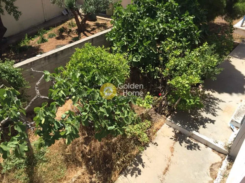 Giardino - Villa with Garden in Eastern Attica
