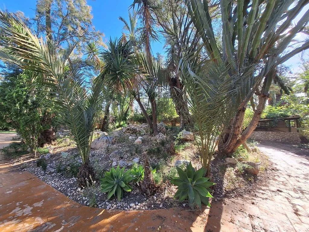 Aed - Detached House with Spa in Elche