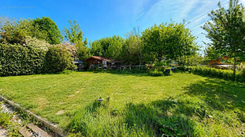 garden