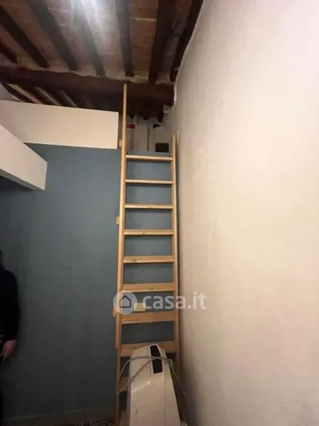 Toad - Rented Duplex in Sarzana with Parking