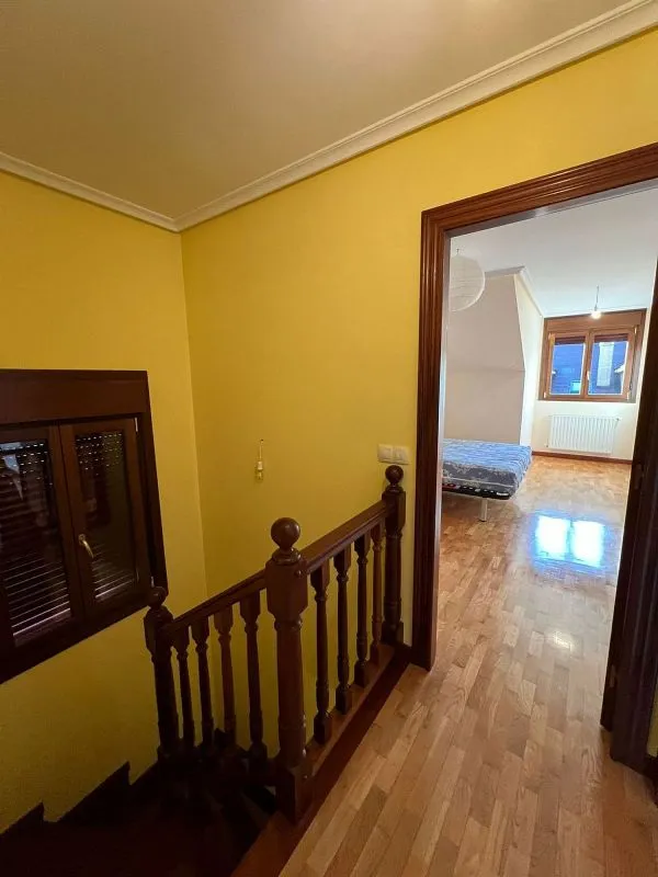 Toad - Duplex with Ascender in Nava