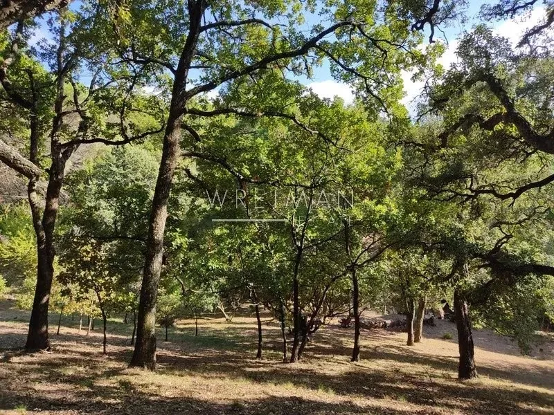 Jardin - Bastide avec Vue Panoramique à La Garde-Freinet