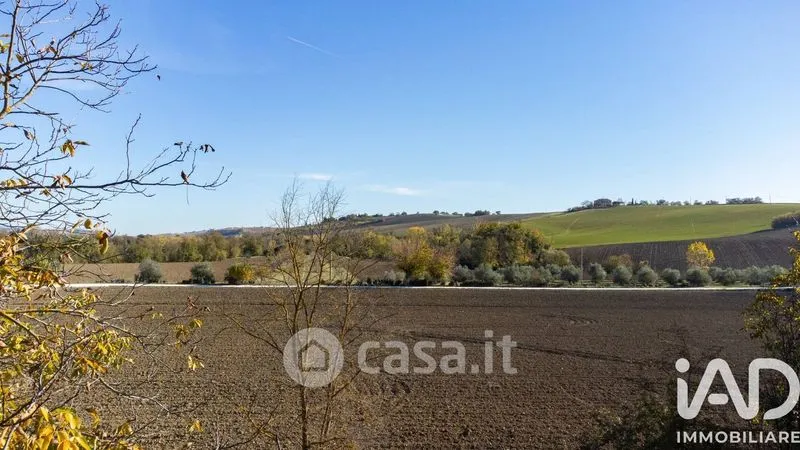 Giardino - Traditional Rustico with Olive Trees in Appignano