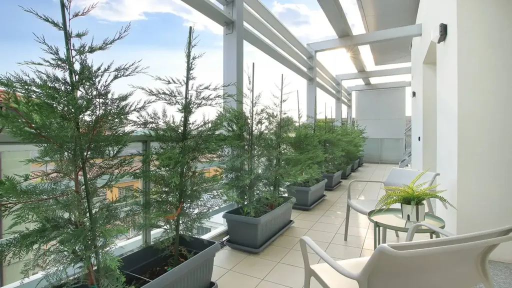 terrace_patio